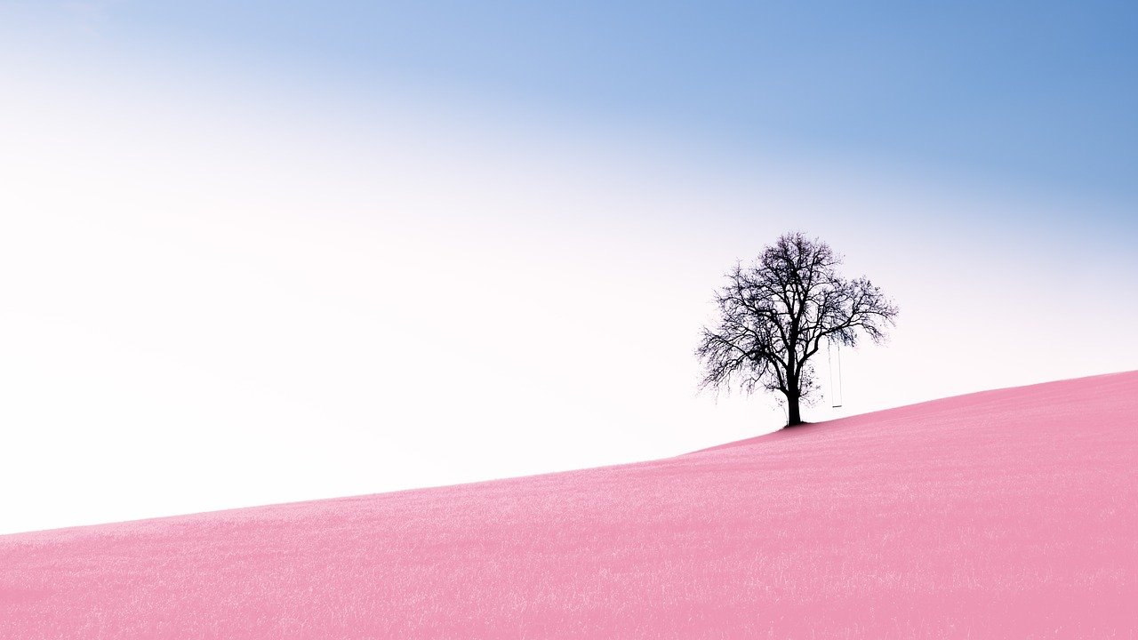 single alone tree