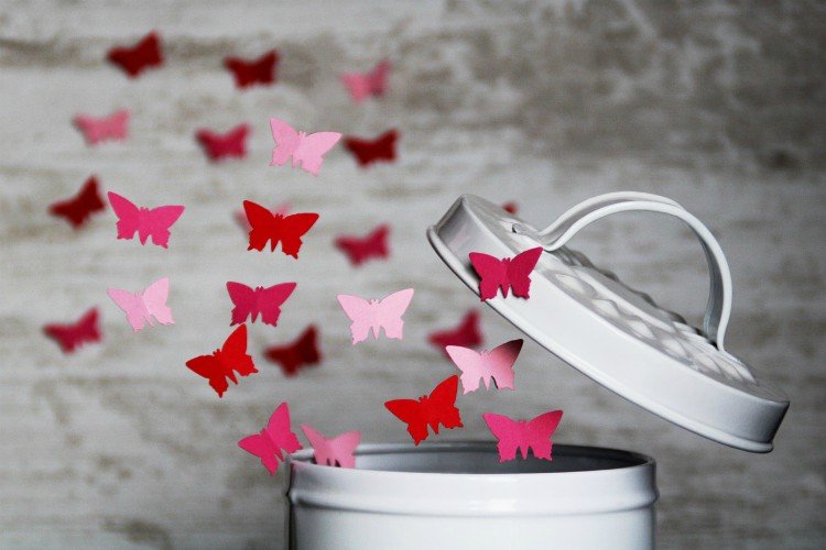 letting go of a dream butterflies