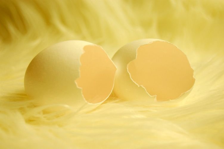 Are You Sick and Tired of Walking on Eggshells?