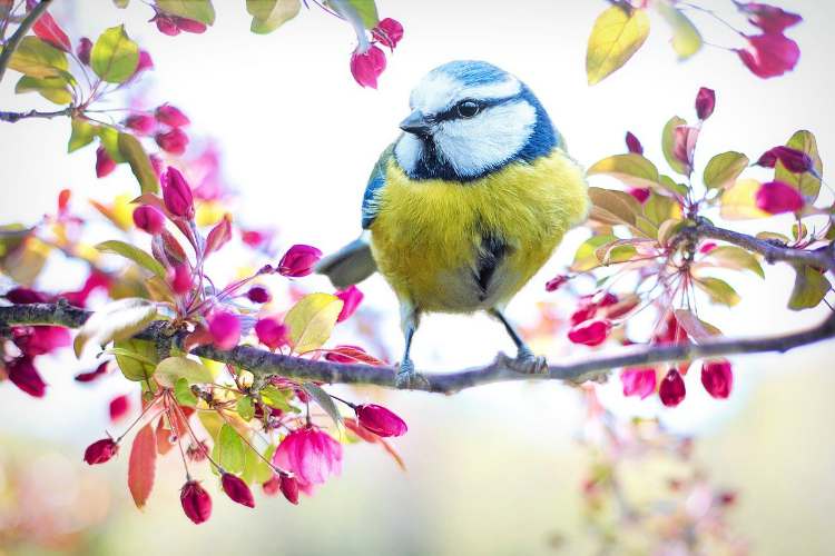 A Positive Attitude Makes Each Day Like Spring