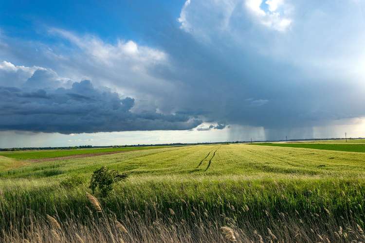 storm in field