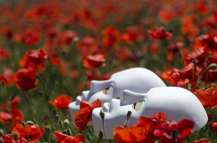 masks poppies