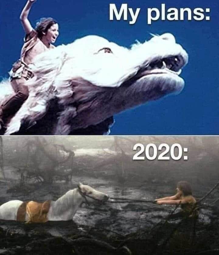 2020 meme NEVER ENDING STORY