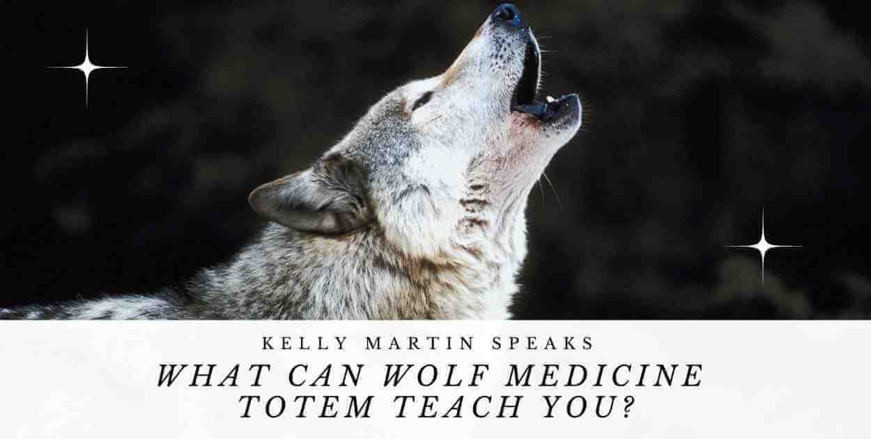 what can wolf medicine totem teach you